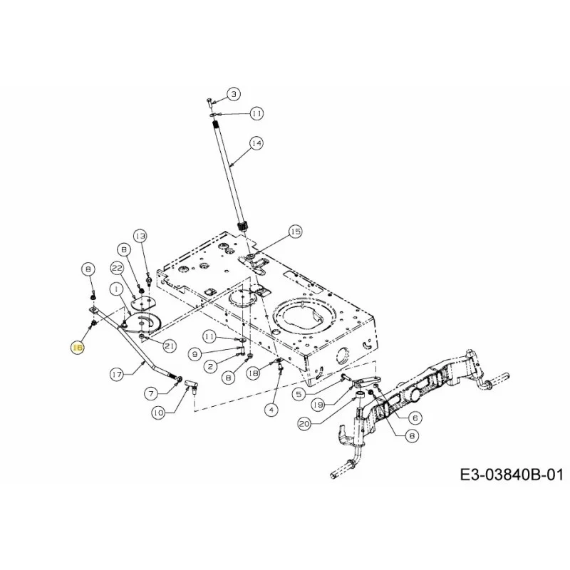 newgardenstore-22810799