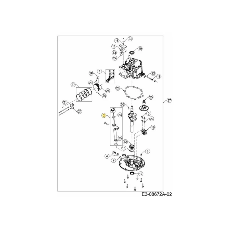 newgardenstore-22812659