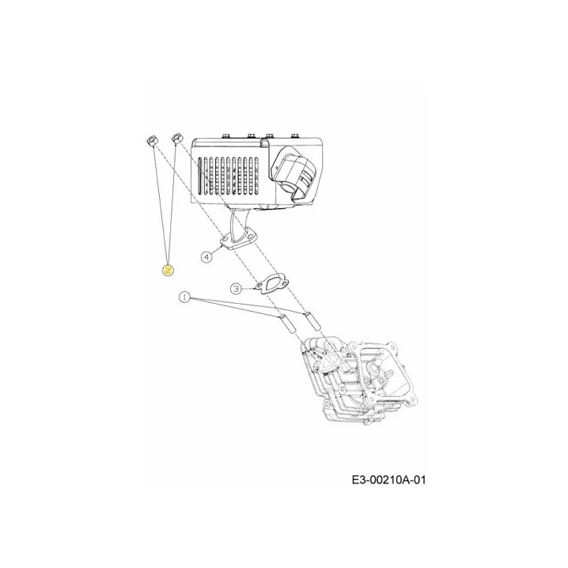 newgardenstore-22823635
