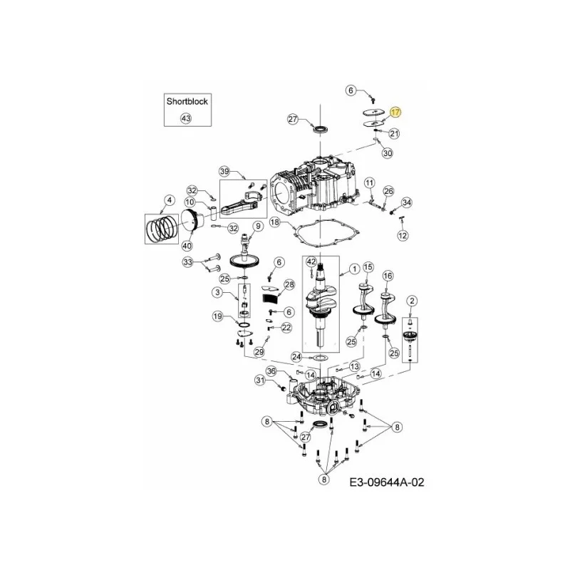 newgardenstore-22827804