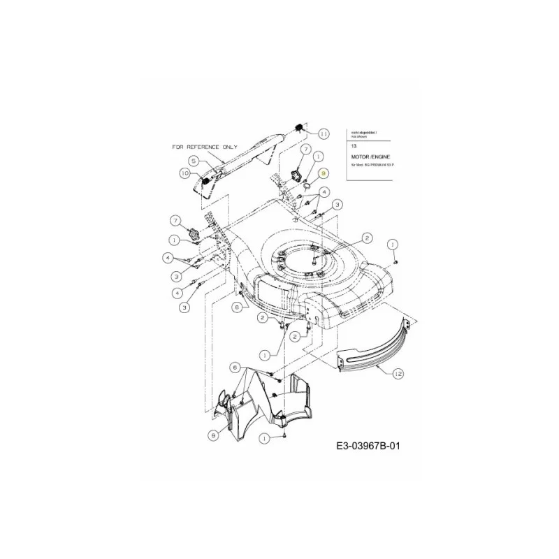 newgardenstore-22856690