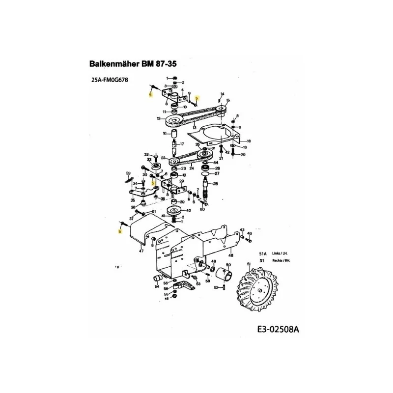 newgardenstore-22862223