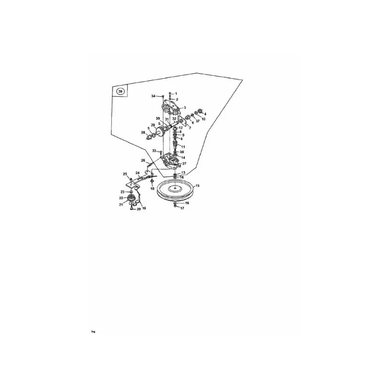 newgardenstore-22880724