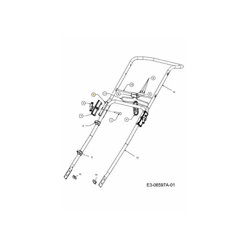 newgardenstore-22880923