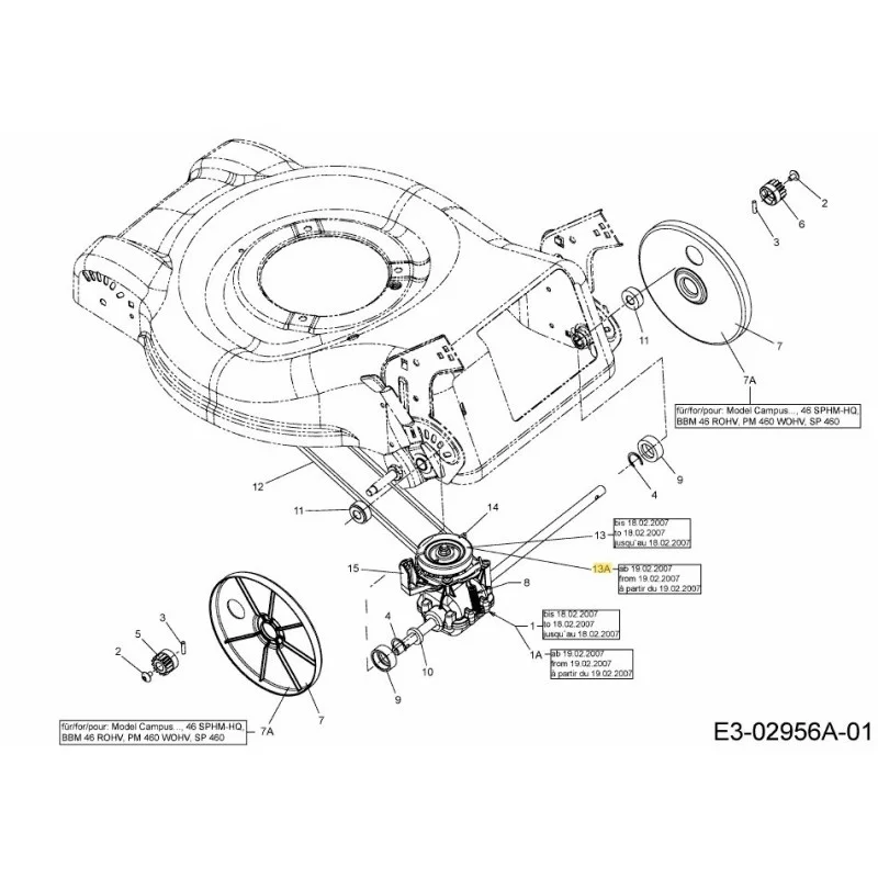 newgardenstore-22887798