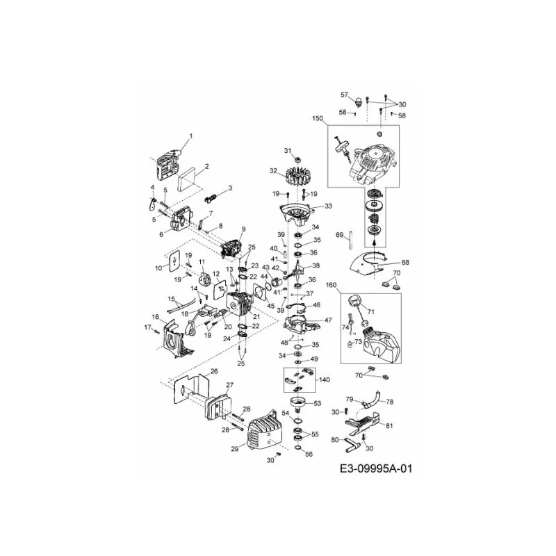 newgardenstore-22895069