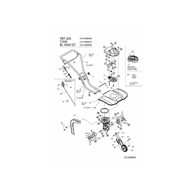newgardenstore-22895422