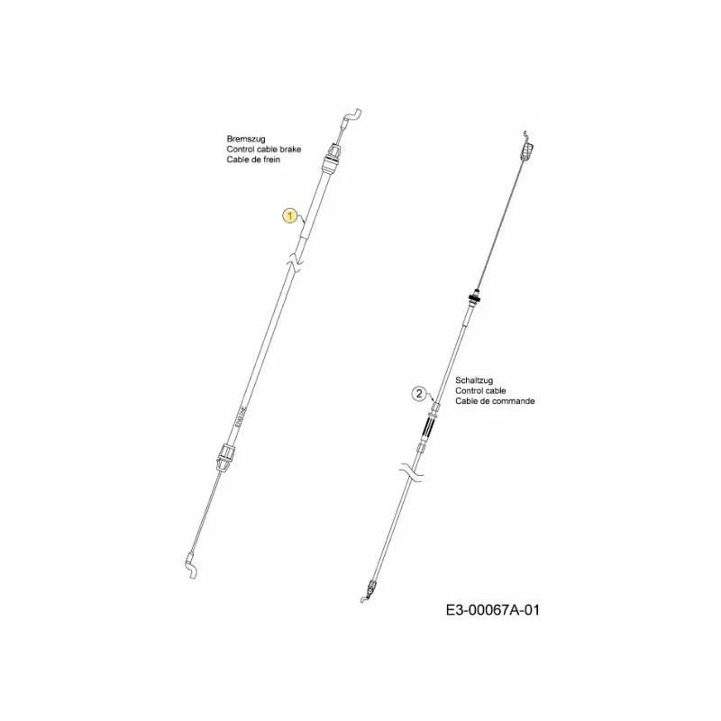 newgardenstore-22907381