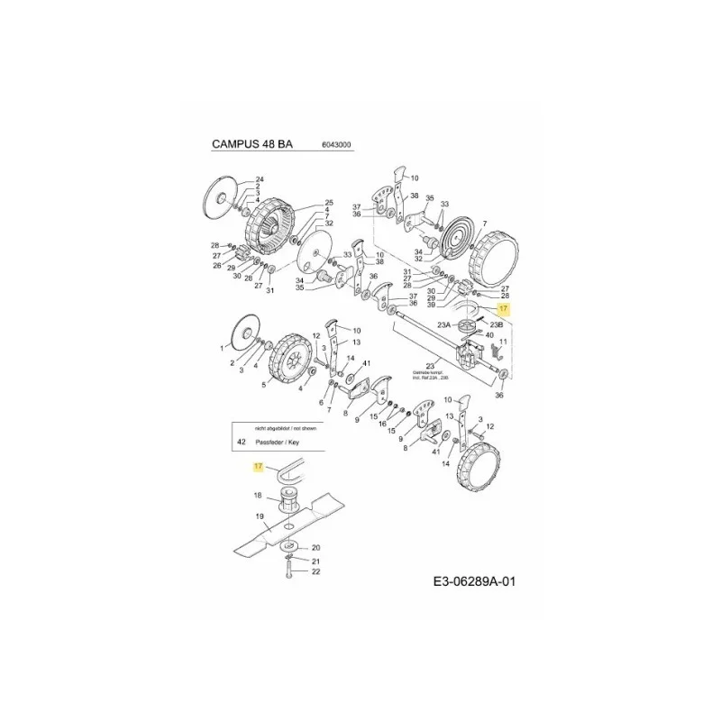 newgardenstore-22910176