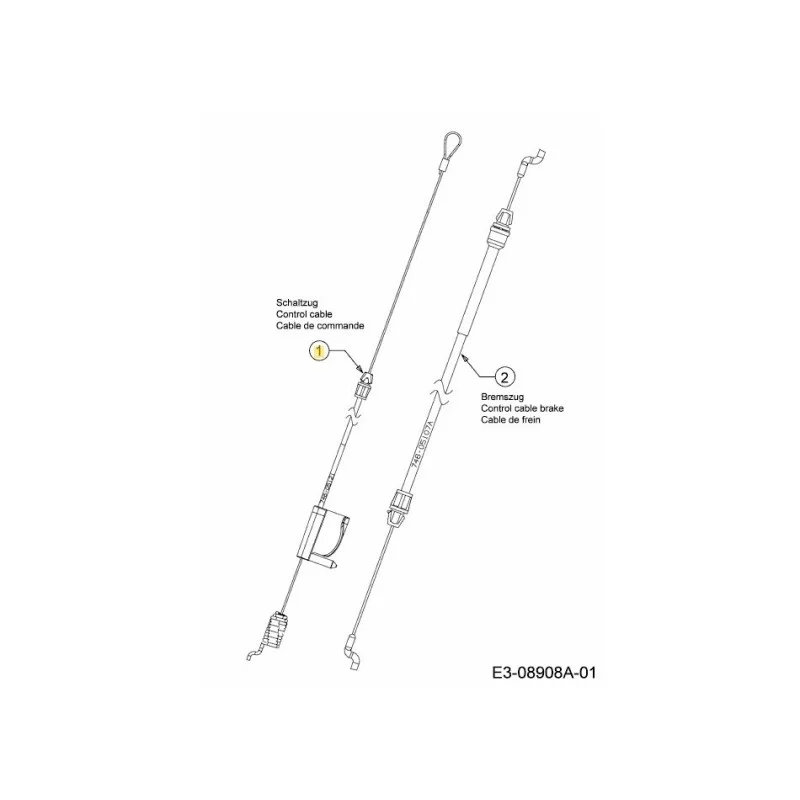 newgardenstore-22917617