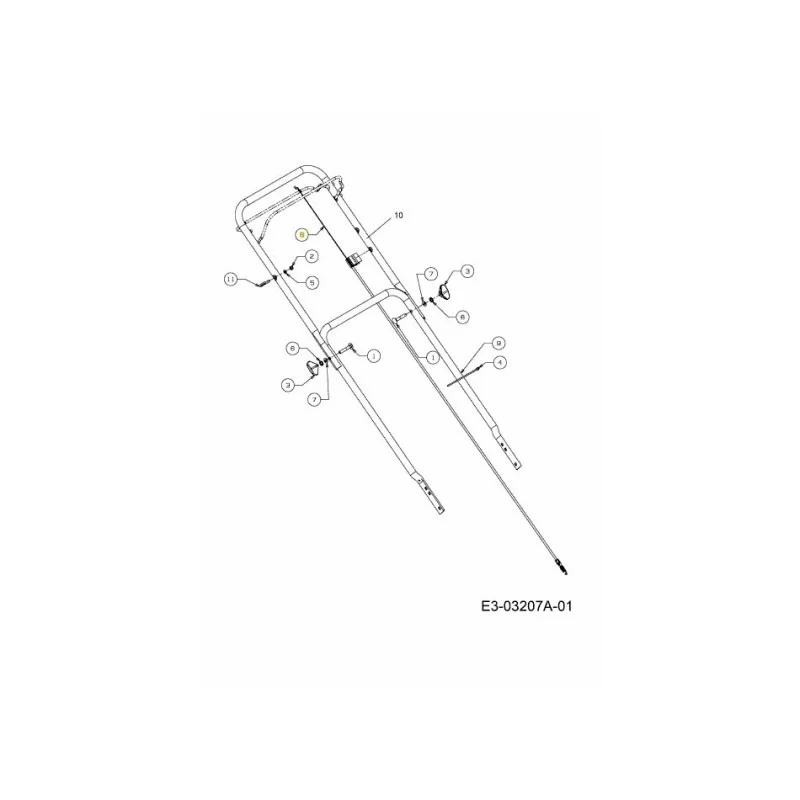 newgardenstore-22926448