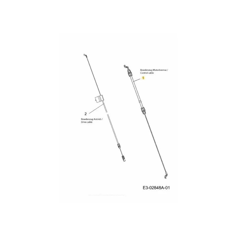 newgardenstore-22930388