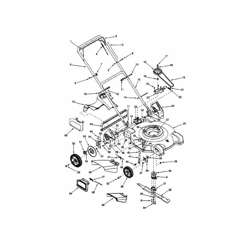 newgardenstore-22930491