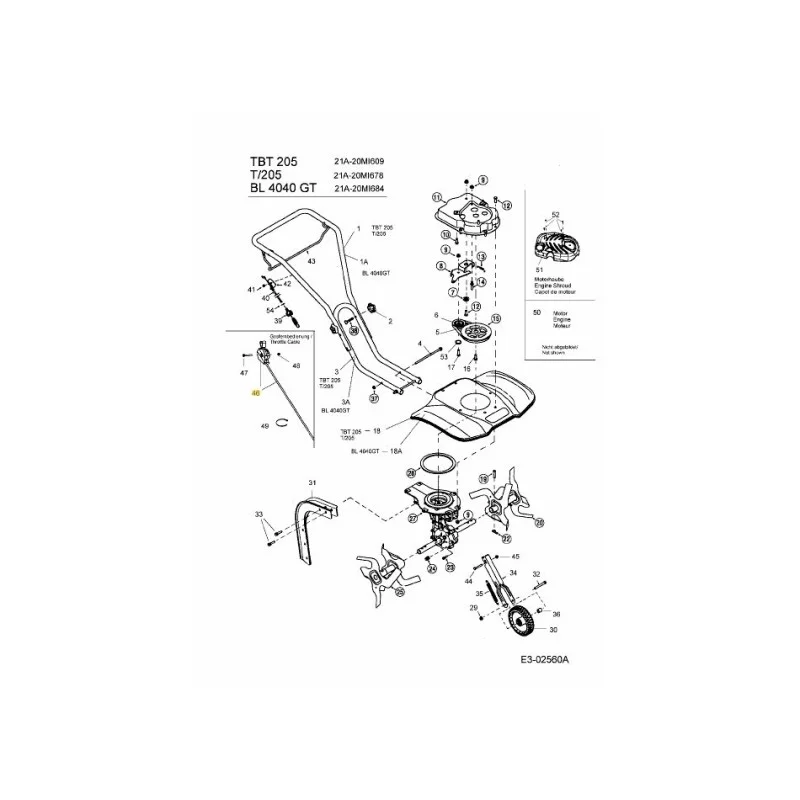 newgardenstore-22931447