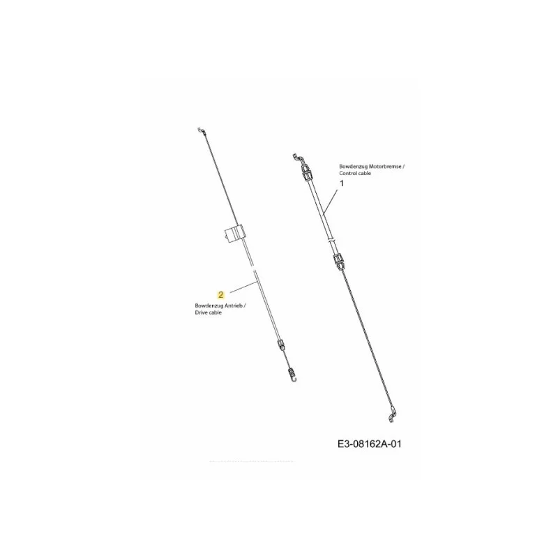 newgardenstore-22936822