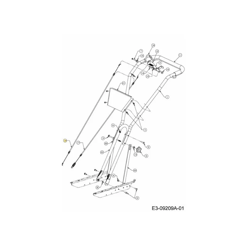 newgardenstore-22937392