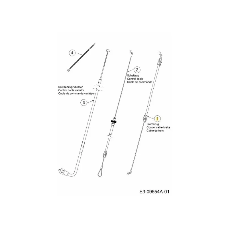 newgardenstore-22945409