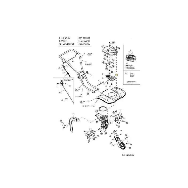newgardenstore-22946497