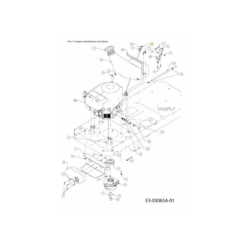 newgardenstore-22952101