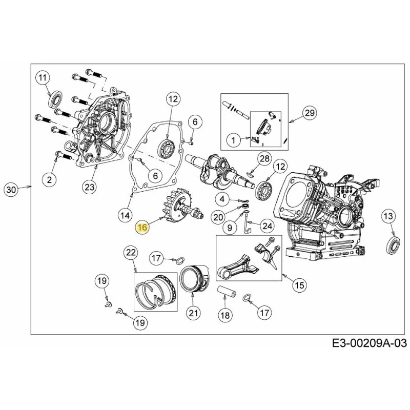 newgardenstore-22960342