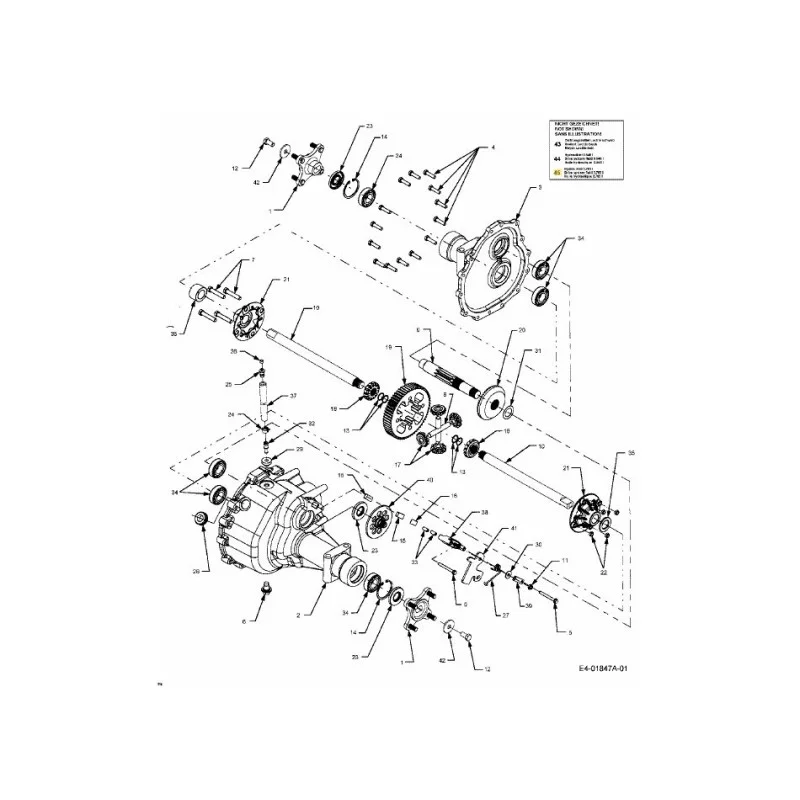 newgardenstore-22961925