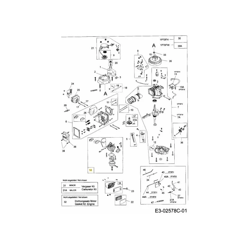 newgardenstore-22969837