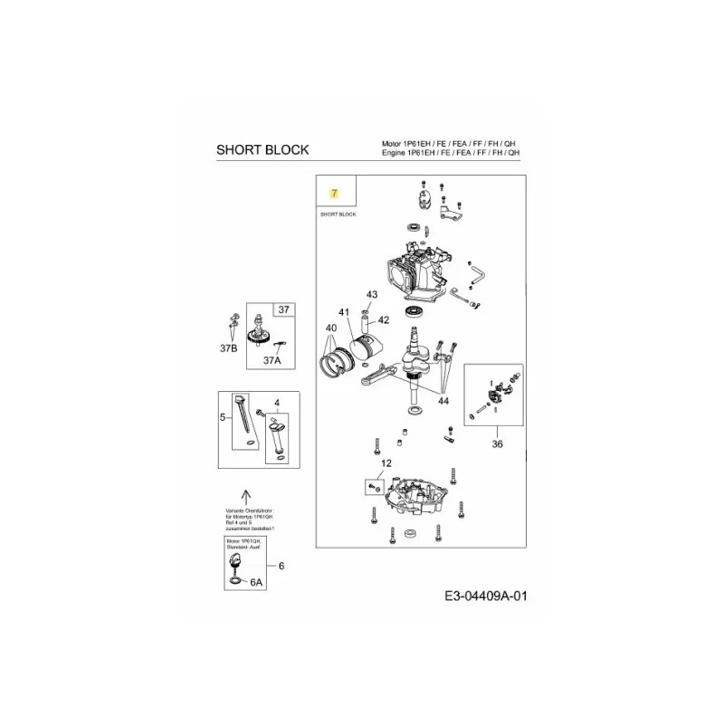 newgardenstore-22979290