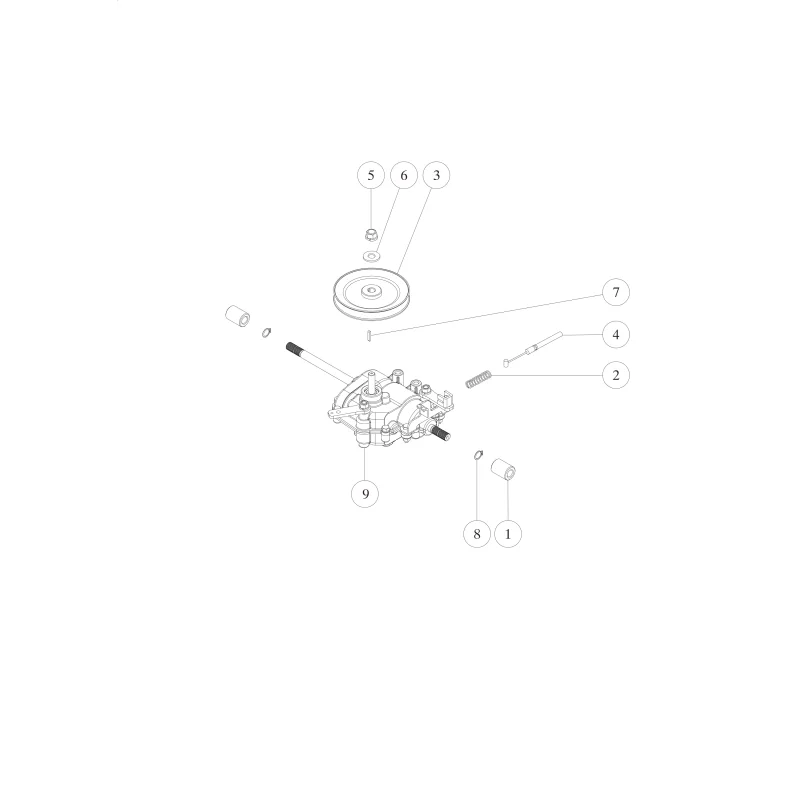 newgardenstore-23142428