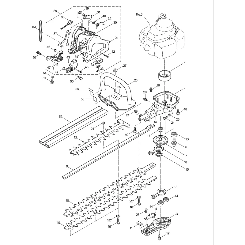 newgardenstore-23178416