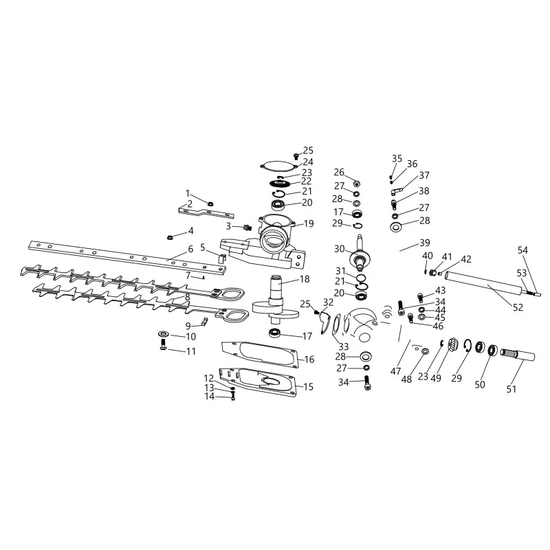 newgardenstore-23777054