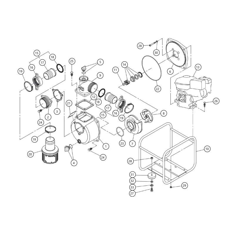 newgardenstore-23808132