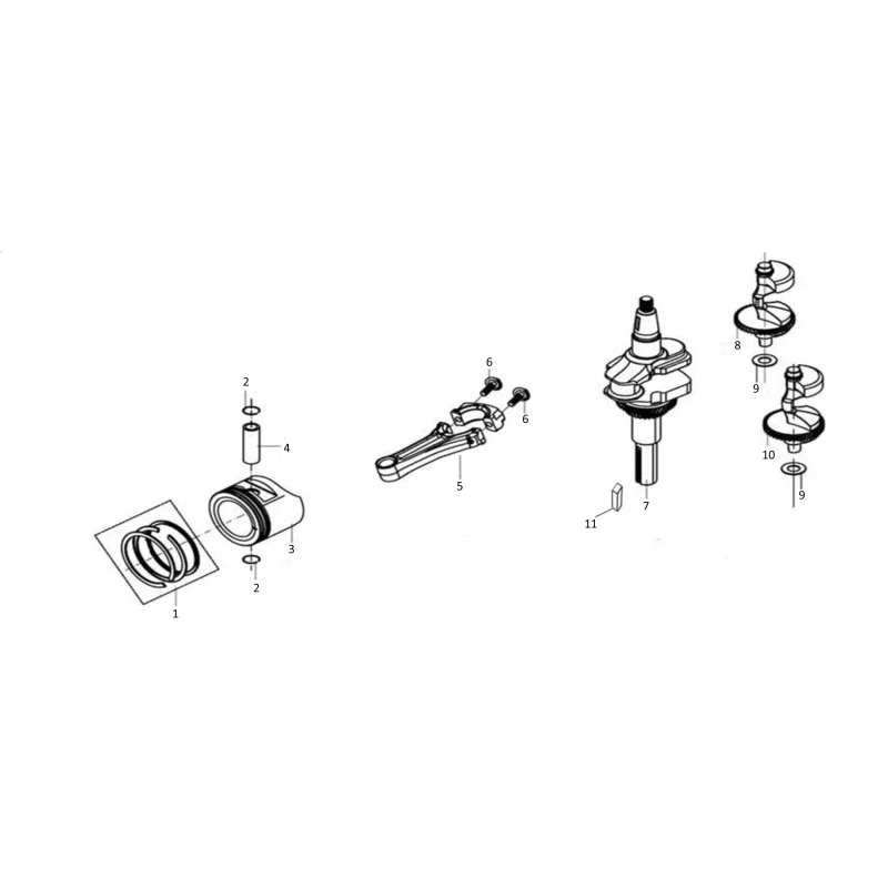 newgardenstore-23830867