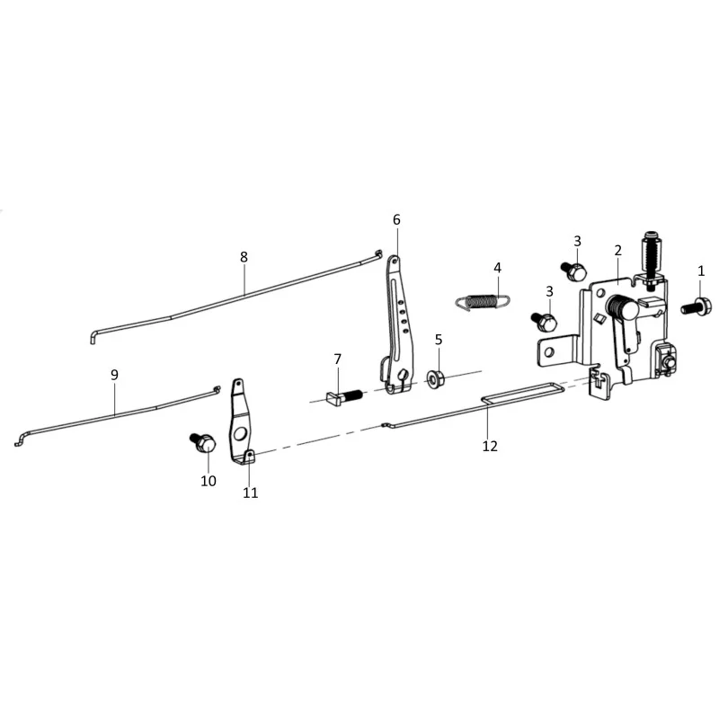 newgardenstore-23831865