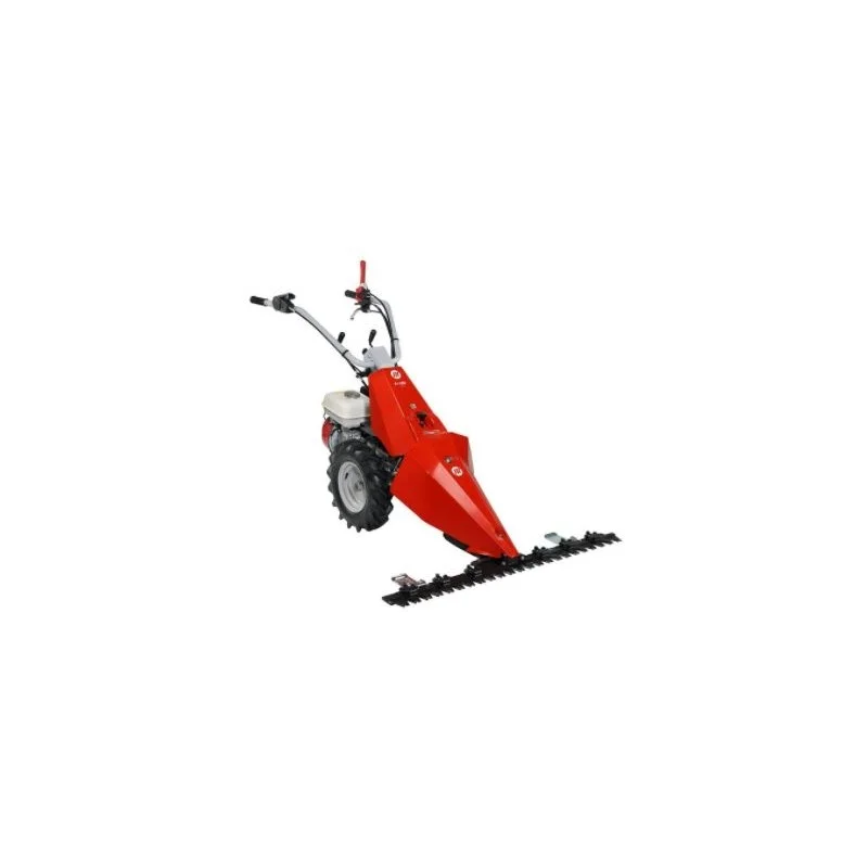 newgardenstore2963083