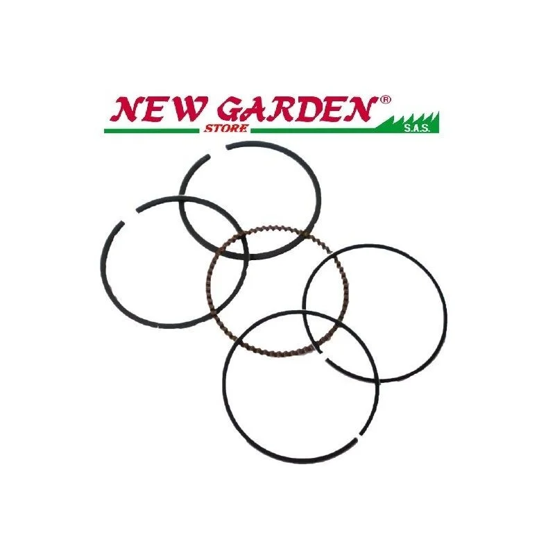 newgardenstore3389738