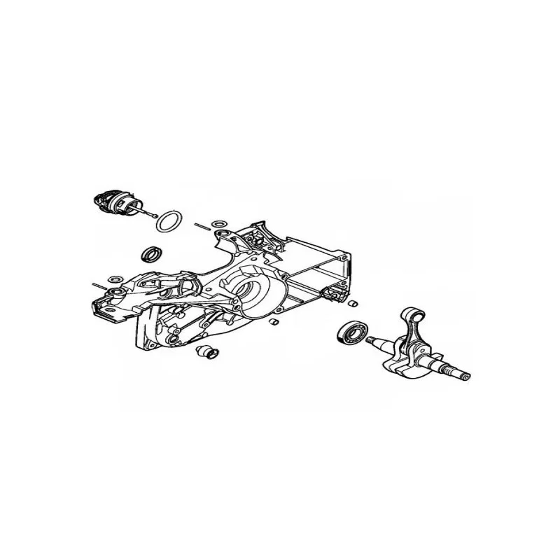 newgardenstore3517720