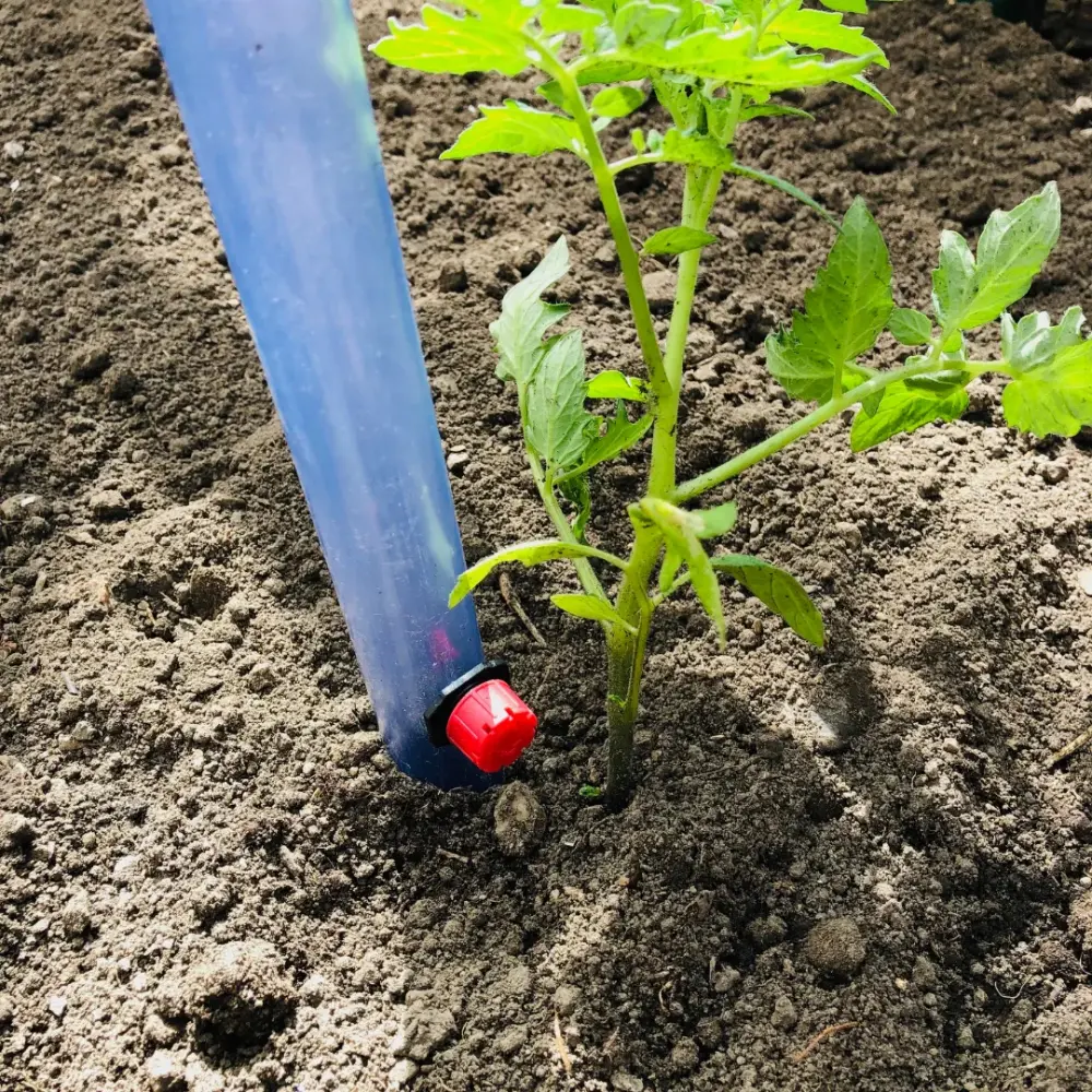 plantezcheznous2710683