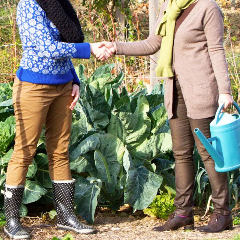 plantezcheznous2753908