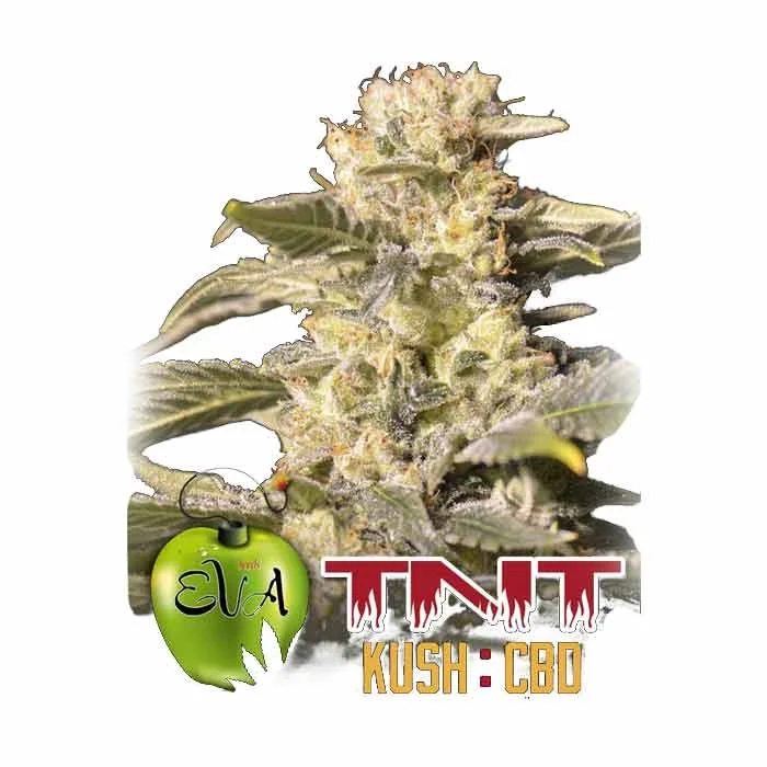 saltonverde2760541