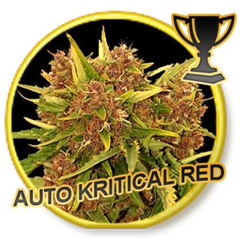 saltonverde2776637