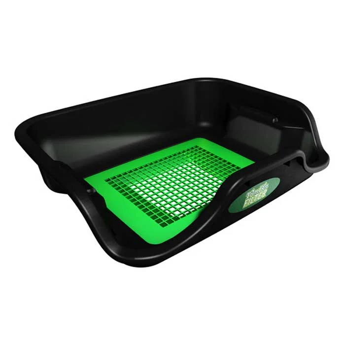 saltonverde2778405