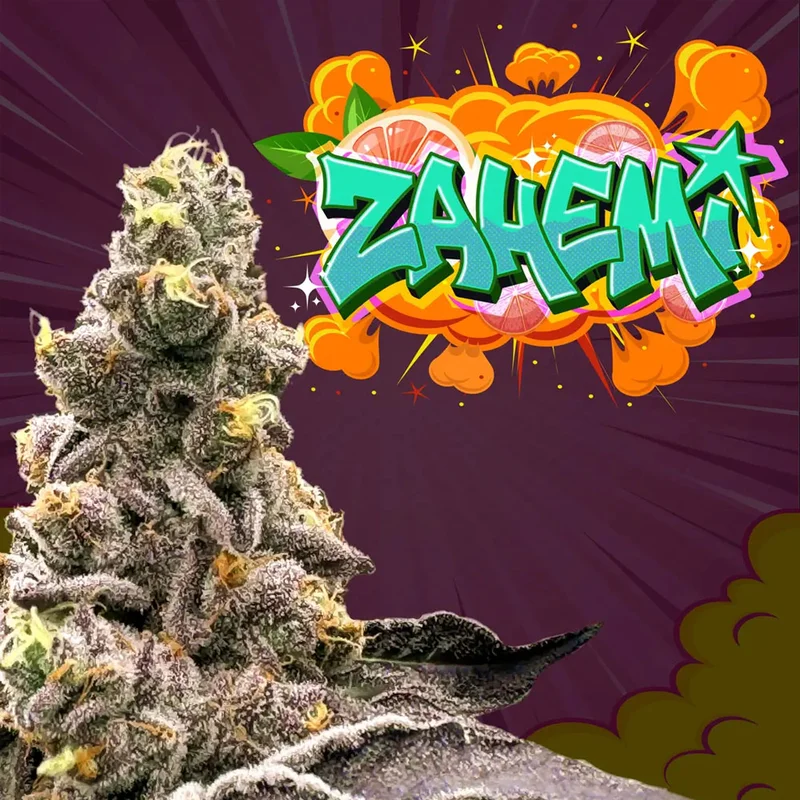 saltonverde2794682