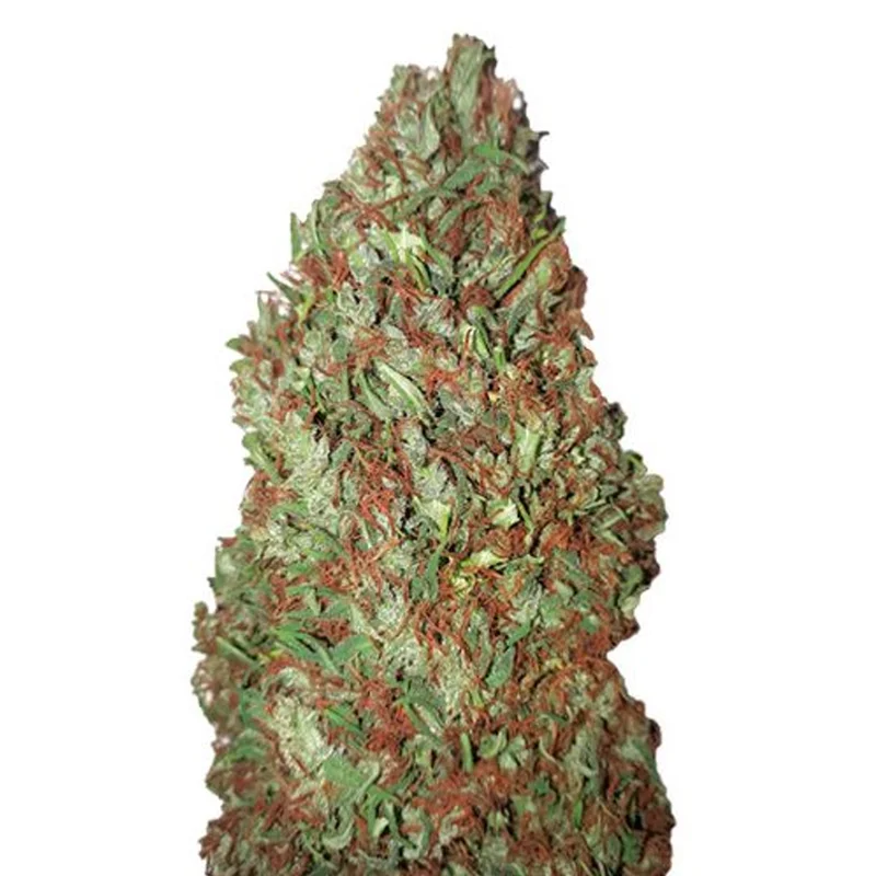 saltonverde2795457