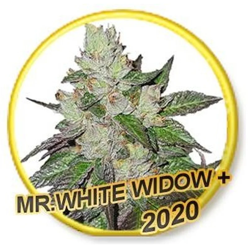 saltonverde2800195