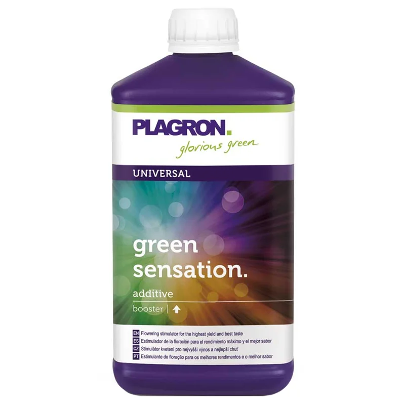 saltonverde2809074