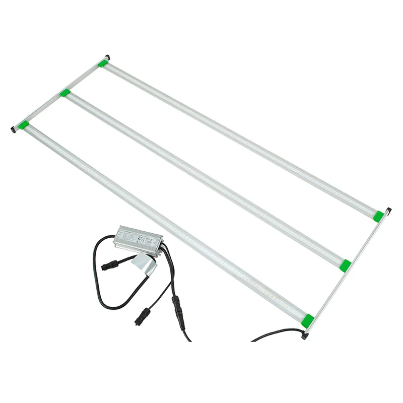 saltonverde2821576