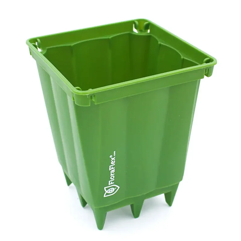saltonverde2826115