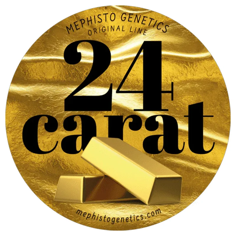 saltonverde2835230