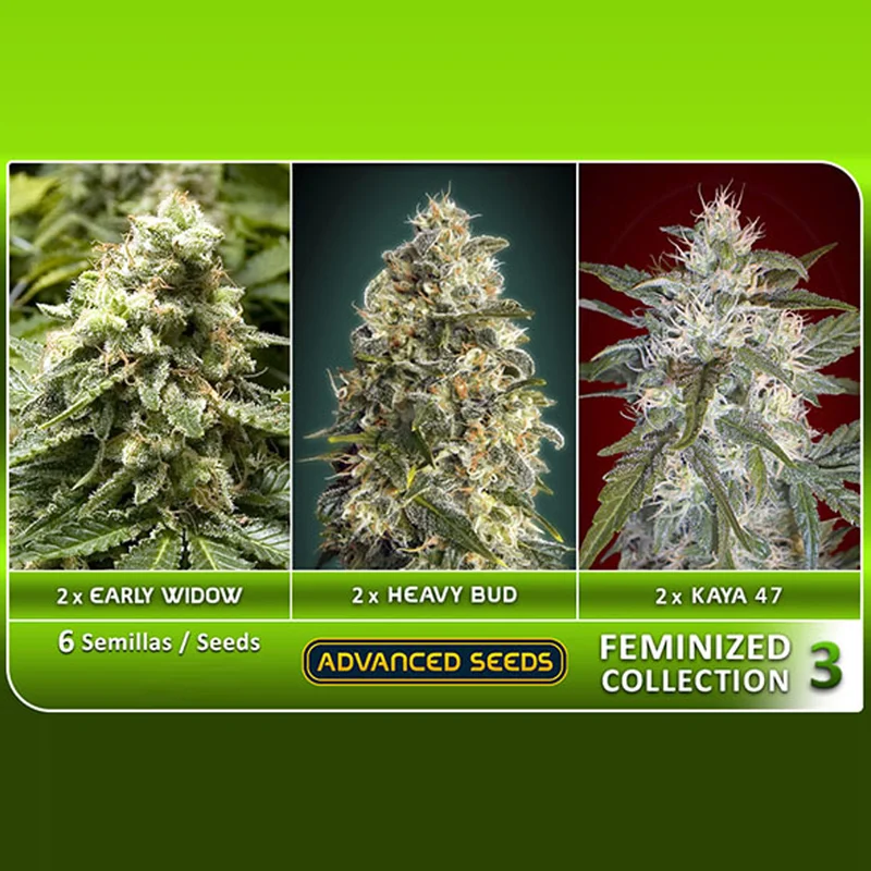 saltonverde2857431
