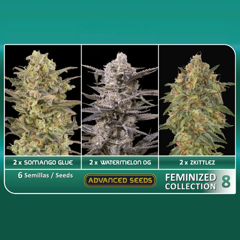 saltonverde2857474
